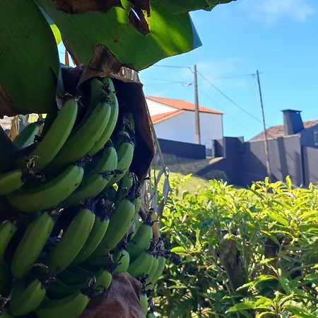Canada Da Ribeira Ponta Garca
