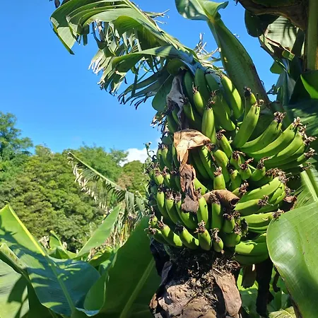 Canada Da Ribeira بيت للعطل *