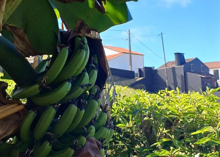 Canada Da Ribeira Ponta Garca