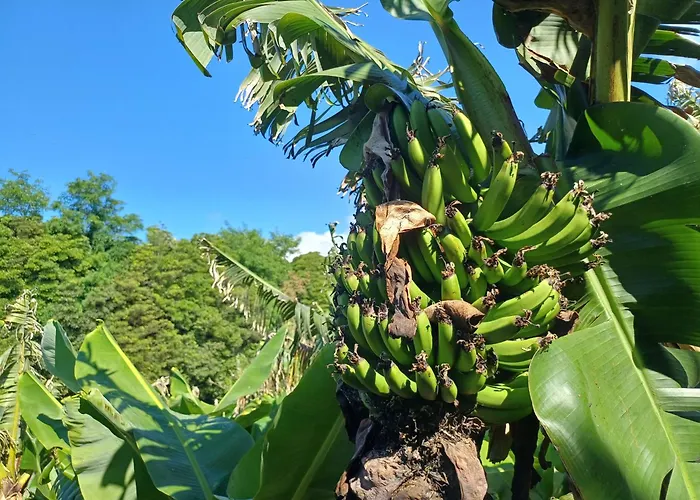 Canada Da Ribeira Σπίτι διακοπών *